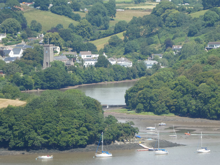 General view from across the Dart